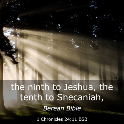 Picture 03 - 1 Chronicles 24:11 BSB - the ninth to Jeshua, the tenth to - Bible Verse Picture
