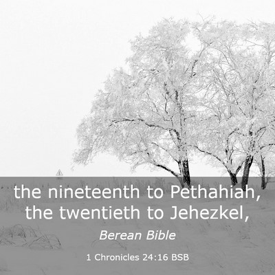 Picture 03 - 1 Chronicles 24:16 BSB - the nineteenth to Pethahiah, the twentieth to - Bible Verse Picture