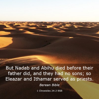 Picture 03 - 1 Chronicles 24:2 BSB - But Nadab and Abihu died before their father did, - Bible Verse Picture