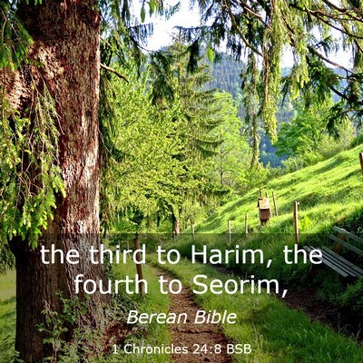 Picture 03 - 1 Chronicles 24:8 BSB - the third to Harim, the fourth to - Bible Verse Picture