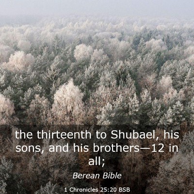 Picture 03 - 1 Chronicles 25:20 BSB - the thirteenth to Shubael, his sons, and his - Bible Verse Picture