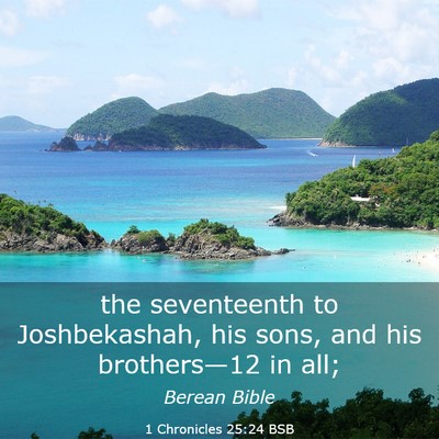 Picture 03 - 1 Chronicles 25:24 BSB - the seventeenth to Joshbekashah, his sons, and - Bible Verse Picture