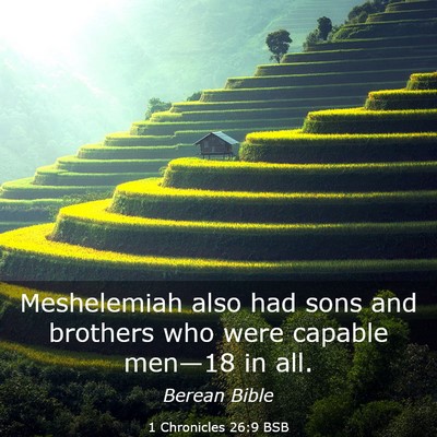 Picture 03 - 1 Chronicles 26:9 BSB - Meshelemiah also had sons and brothers who were - Bible Verse Picture