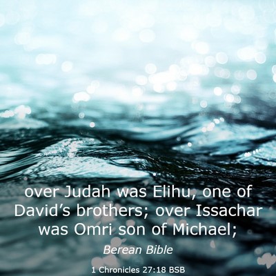 Picture 03 - 1 Chronicles 27:18 BSB - over Judah was Elihu, one of David’s brothers; - Bible Verse Picture