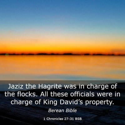 Picture 03 - 1 Chronicles 27:31 BSB - Jaziz the Hagrite was in charge of the flocks. - Bible Verse Picture