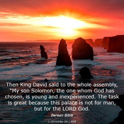 Picture 03 - 1 Chronicles 29:1 BSB - Then King David said to the whole assembly, “My - Bible Verse Picture