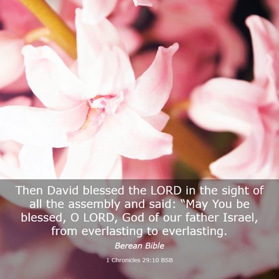 Picture 03 - 1 Chronicles 29:10 BSB - Then David blessed the LORD in the sight of all - Bible Verse Picture