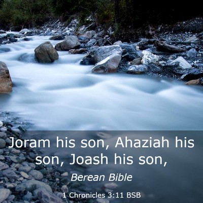 Picture 03 - 1 Chronicles 3:11 BSB - Joram his son, Ahaziah his son, Joash his - Bible Verse Picture