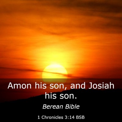 Picture 03 - 1 Chronicles 3:14 BSB - Amon his son, and Josiah his - Bible Verse Picture