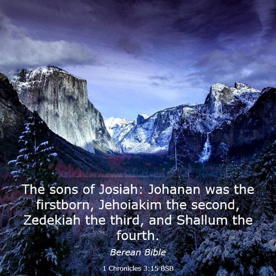 Picture 03 - 1 Chronicles 3:15 BSB - The sons of Josiah: Johanan was the firstborn, - Bible Verse Picture