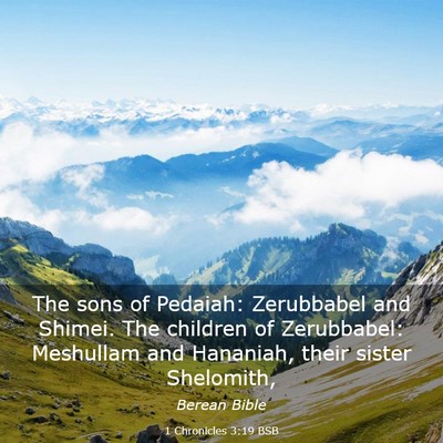 Picture 03 - 1 Chronicles 3:19 BSB - The sons of Pedaiah: Zerubbabel and Shimei. The - Bible Verse Picture