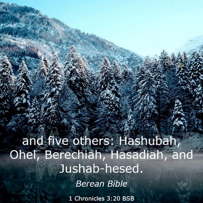 Picture 03 - 1 Chronicles 3:20 BSB - and five others: Hashubah, Ohel, Berechiah, - Bible Verse Picture