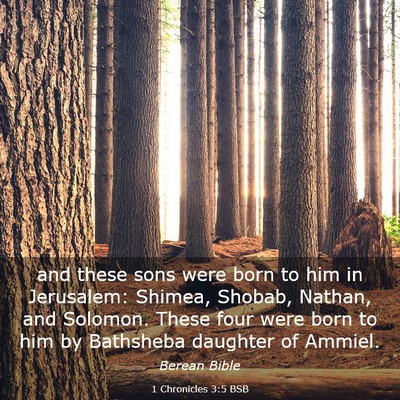 Picture 03 - 1 Chronicles 3:5 BSB - and these sons were born to him in Jerusalem: - Bible Verse Picture