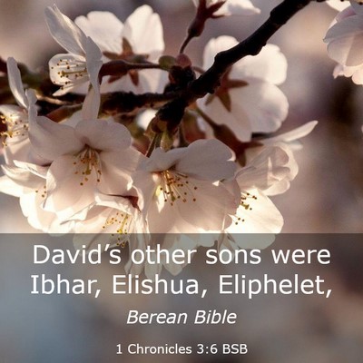 Picture 03 - 1 Chronicles 3:6 BSB - David’s other sons were Ibhar, Elishua, - Bible Verse Picture