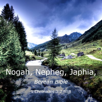 Picture 03 - 1 Chronicles 3:7 BSB - Nogah, Nepheg, - Bible Verse Picture