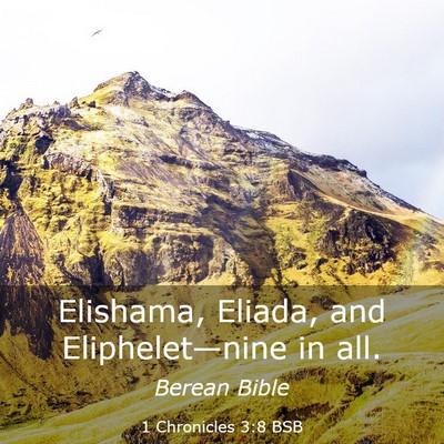 Picture 03 - 1 Chronicles 3:8 BSB - Elishama, Eliada, and Eliphelet—nine in - Bible Verse Picture