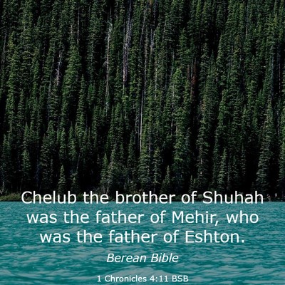 Picture 03 - 1 Chronicles 4:11 BSB - Chelub the brother of Shuhah was the father of - Bible Verse Picture