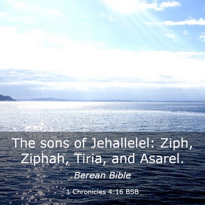 Picture 03 - 1 Chronicles 4:16 BSB - The sons of Jehallelel: Ziph, Ziphah, Tiria, and - Bible Verse Picture