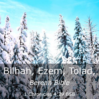 Picture 03 - 1 Chronicles 4:29 BSB - Bilhah, Ezem, - Bible Verse Picture