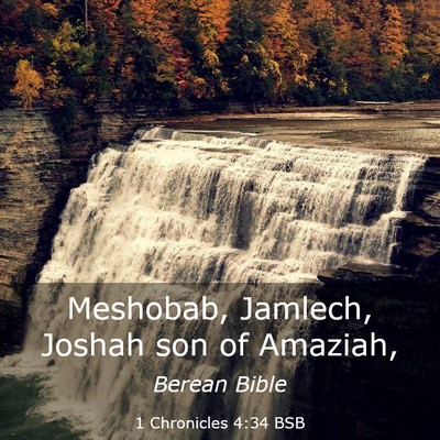 Picture 03 - 1 Chronicles 4:34 BSB - Meshobab, Jamlech, Joshah son of - Bible Verse Picture