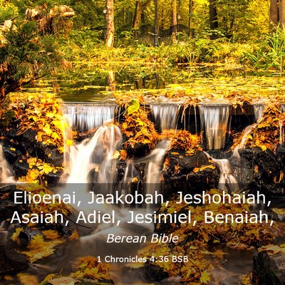 Picture 03 - 1 Chronicles 4:36 BSB - Elioenai, Jaakobah, Jeshohaiah, Asaiah, Adiel, - Bible Verse Picture
