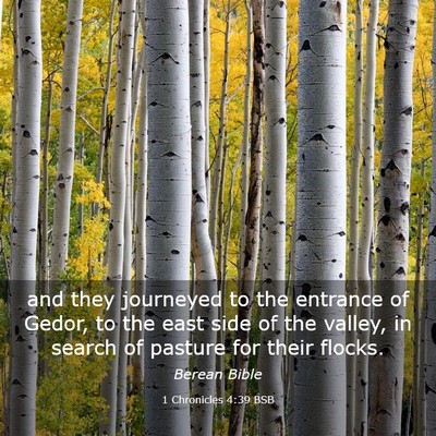 Picture 03 - 1 Chronicles 4:39 BSB - and they journeyed to the entrance of Gedor, to - Bible Verse Picture