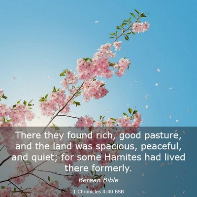Picture 03 - 1 Chronicles 4:40 BSB - There they found rich, good pasture, and the land - Bible Verse Picture