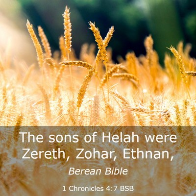 Picture 03 - 1 Chronicles 4:7 BSB - The sons of Helah were Zereth, Zohar, - Bible Verse Picture