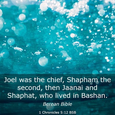 Picture 03 - 1 Chronicles 5:12 BSB - Joel was the chief, Shapham the second, then - Bible Verse Picture