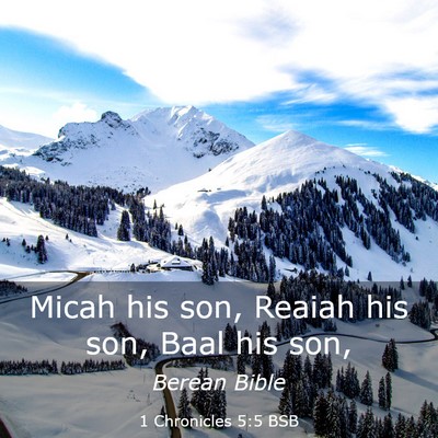 Picture 03 - 1 Chronicles 5:5 BSB - Micah his son, Reaiah his son, Baal his - Bible Verse Picture