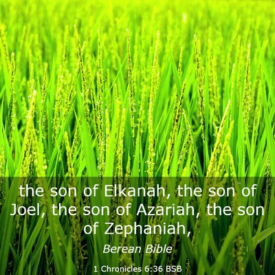 Picture 03 - 1 Chronicles 6:36 BSB - the son of Elkanah, the son of Joel, the son of - Bible Verse Picture