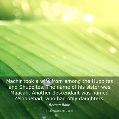 Picture 03 - 1 Chronicles 7:15 BSB - Machir took a wife from among the Huppites and - Bible Verse Picture