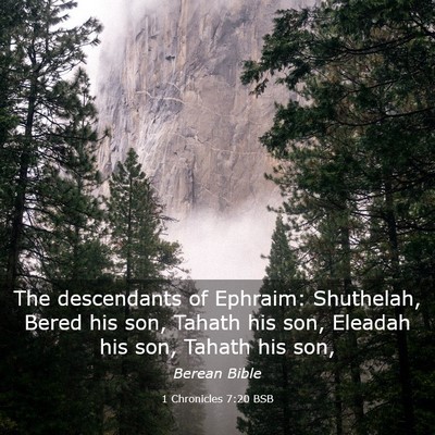 Picture 03 - 1 Chronicles 7:20 BSB - The descendants of Ephraim: Shuthelah, Bered his - Bible Verse Picture