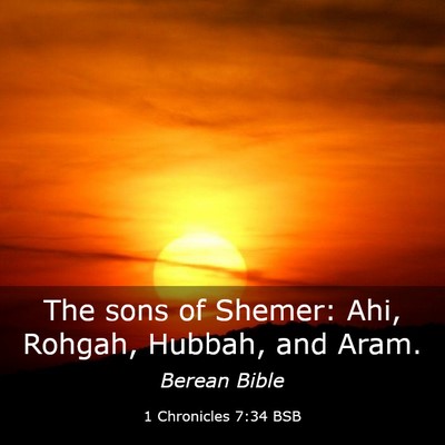 Picture 03 - 1 Chronicles 7:34 BSB - The sons of Shemer: Ahi, Rohgah, Hubbah, and - Bible Verse Picture