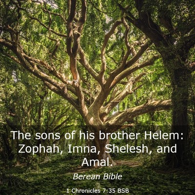 Picture 03 - 1 Chronicles 7:35 BSB - The sons of his brother Helem: Zophah, Imna, - Bible Verse Picture