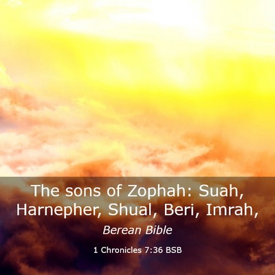 Picture 03 - 1 Chronicles 7:36 BSB - The sons of Zophah: Suah, Harnepher, Shual, Beri, - Bible Verse Picture