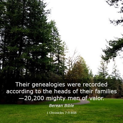 Picture 03 - 1 Chronicles 7:9 BSB - Their genealogies were recorded according to the - Bible Verse Picture