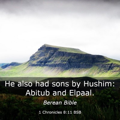 Picture 03 - 1 Chronicles 8:11 BSB - He also had sons by Hushim: Abitub and - Bible Verse Picture