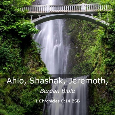Picture 03 - 1 Chronicles 8:14 BSB - Ahio, Shashak, - Bible Verse Picture