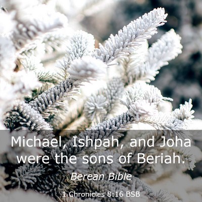 Picture 03 - 1 Chronicles 8:16 BSB - Michael, Ishpah, and Joha were the sons of - Bible Verse Picture