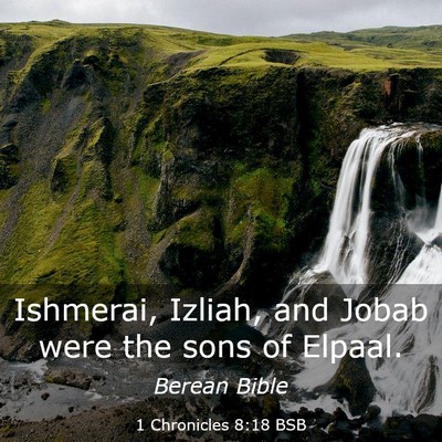 Picture 03 - 1 Chronicles 8:18 BSB - Ishmerai, Izliah, and Jobab were the sons of - Bible Verse Picture