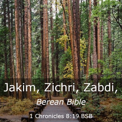 Picture 03 - 1 Chronicles 8:19 BSB - Jakim, Zichri, - Bible Verse Picture