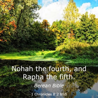 Picture 03 - 1 Chronicles 8:2 BSB - Nohah the fourth, and Rapha the - Bible Verse Picture