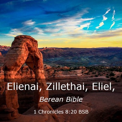 Picture 03 - 1 Chronicles 8:20 BSB - Elienai, Zillethai, - Bible Verse Picture