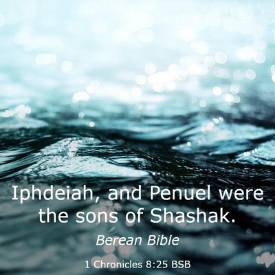 Picture 03 - 1 Chronicles 8:25 BSB - Iphdeiah, and Penuel were the sons of - Bible Verse Picture