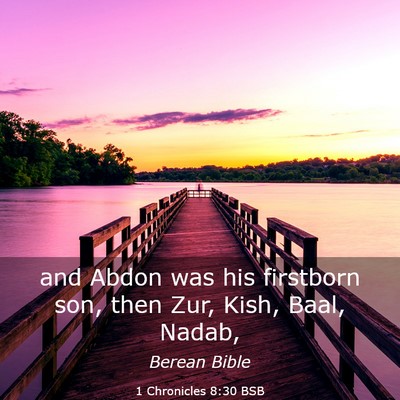 Picture 03 - 1 Chronicles 8:30 BSB - and Abdon was his firstborn son, then Zur, Kish, - Bible Verse Picture