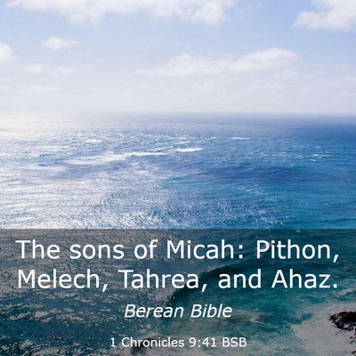 Picture 03 - 1 Chronicles 9:41 BSB - The sons of Micah: Pithon, Melech, Tahrea, and - Bible Verse Picture