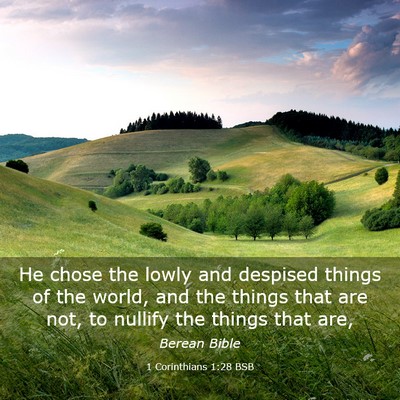 Picture 03 - 1 Corinthians 1:28 BSB - He chose the lowly and despised things of the - Bible Verse Picture