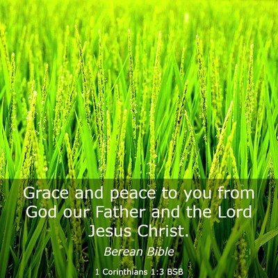 Picture 03 - 1 Corinthians 1:3 BSB - Grace and peace to you from God our Father and - Bible Verse Picture