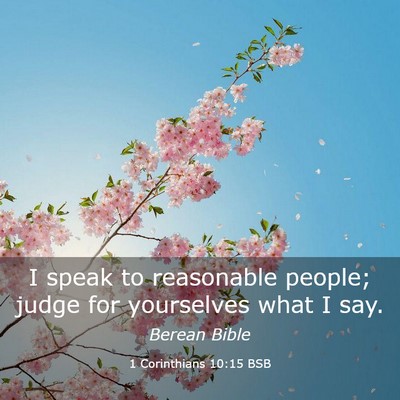 Picture 03 - 1 Corinthians 10:15 BSB - I speak to reasonable people; judge for - Bible Verse Picture